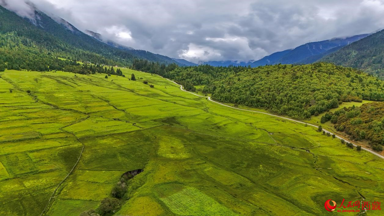 圖為航拍高山牧場鳥瞰圖。人民網(wǎng)記者 次仁羅布攝